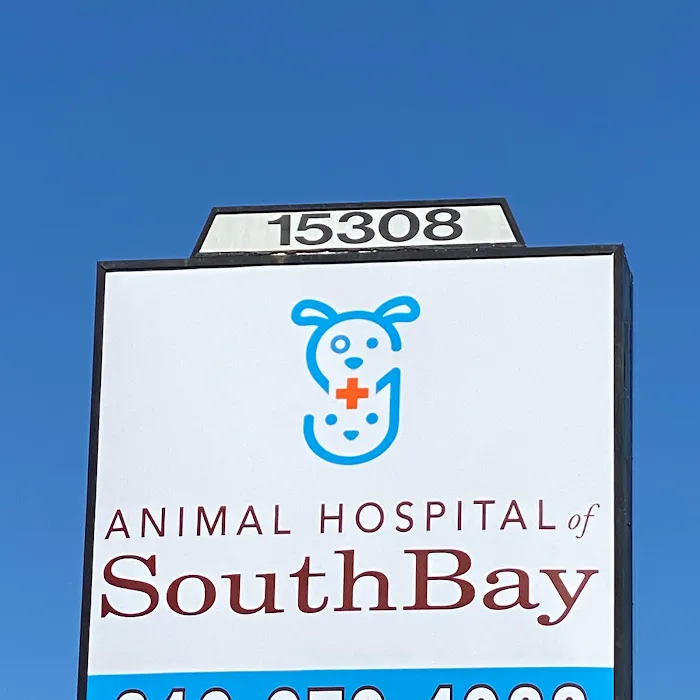 Animal Hospital of South Bay Picture 10