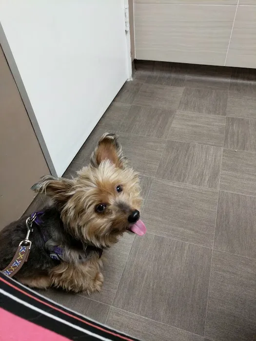 Hawthorne Quality Pet Care (formerly Hawthorne Dog & Cat Hospital) Picture 2