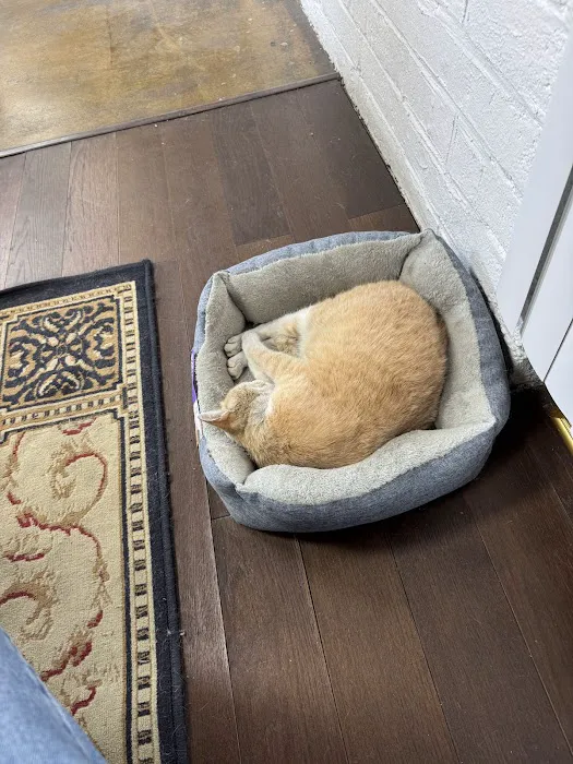 Hawthorne Quality Pet Care (formerly Hawthorne Dog & Cat Hospital) Picture 3