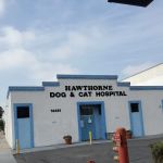 Hawthorne Quality Pet Care (formerly Hawthorne Dog & Cat Hospital)