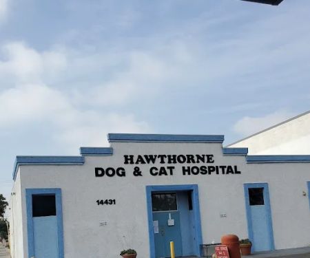 Hawthorne Quality Pet Care (formerly Hawthorne Dog & Cat Hospital)