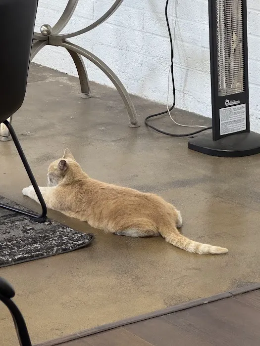 Hawthorne Quality Pet Care (formerly Hawthorne Dog & Cat Hospital) Picture 4
