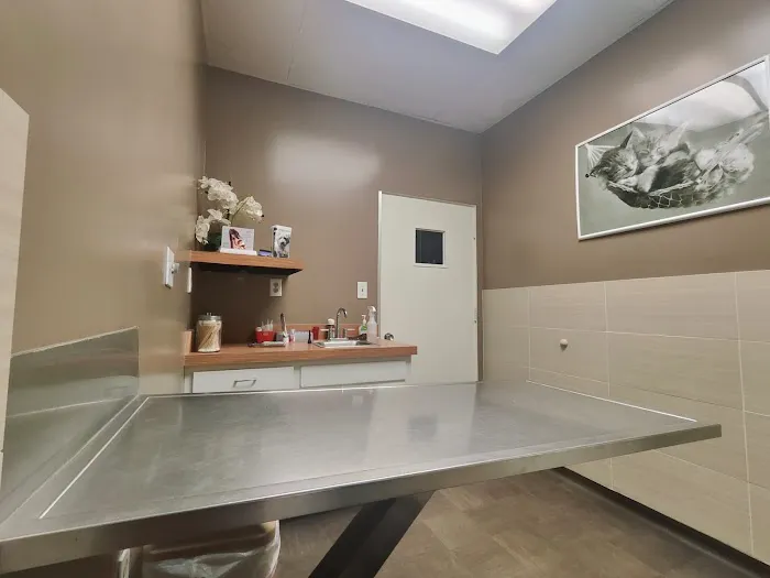 Hawthorne Quality Pet Care (formerly Hawthorne Dog & Cat Hospital) Picture 8