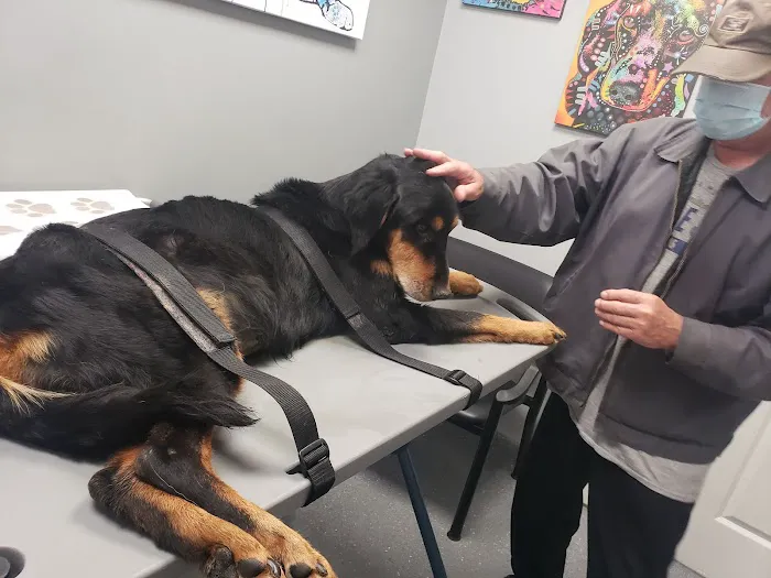 Lawndale Pet Hospital Picture 5
