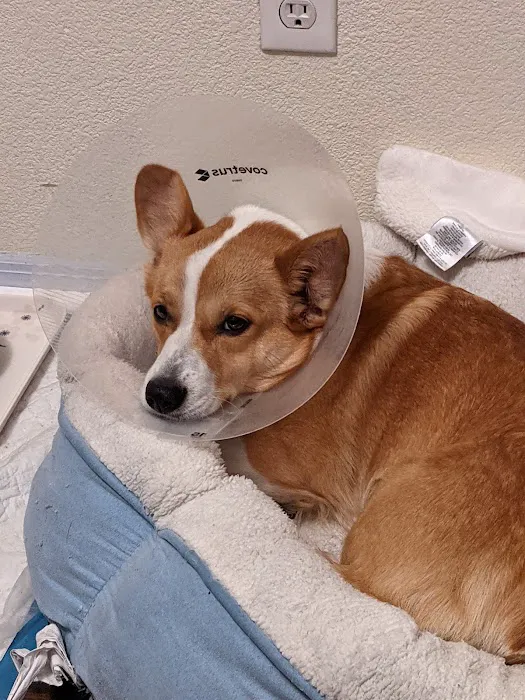 The ASPCA Los Angeles Spay/Neuter Clinic Picture 4