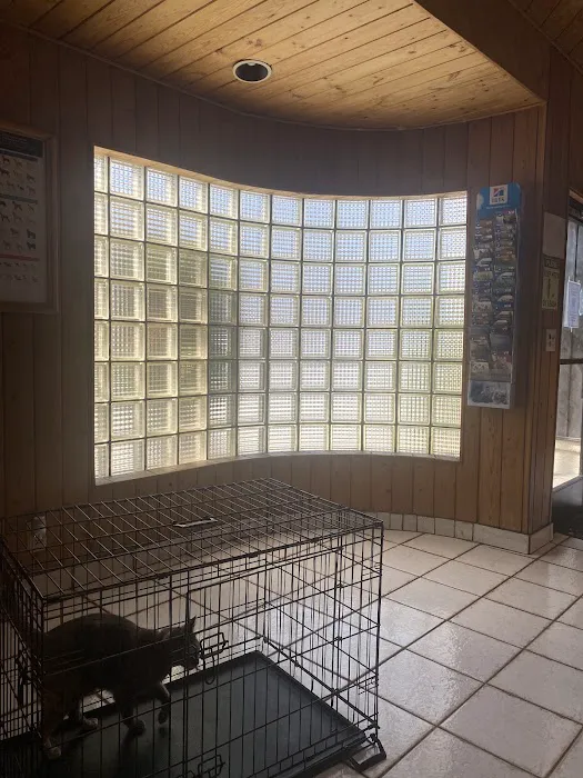 Angeles Vista Pet Medical Center Picture 2