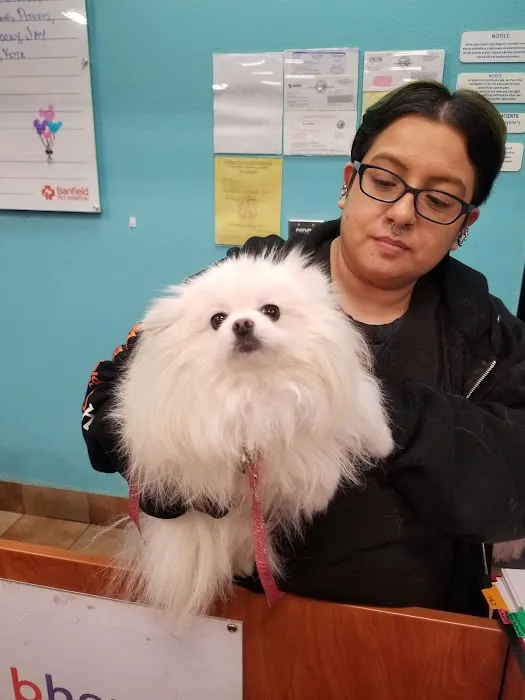 Banfield Pet Hospital Picture 7