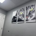 Lawndale Pet Hospital: Paul Lynch DVM