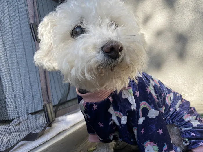 Animal Urgent Care Picture 1