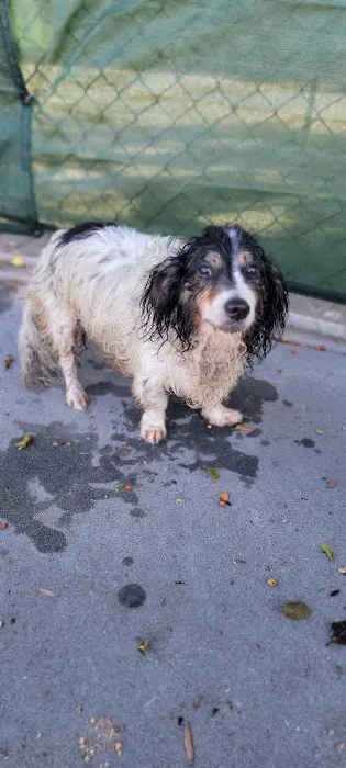 Animal Urgent Care Picture 9