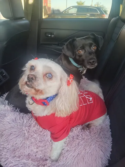 Animal Urgent Care Picture 10