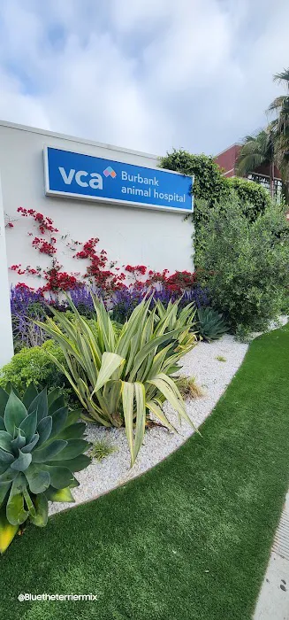 VCA Burbank Animal Hospital Picture 2