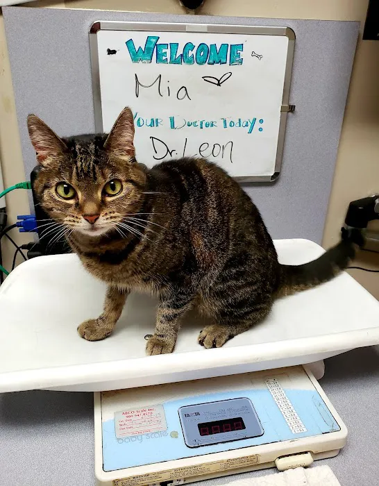 VCA Burbank Animal Hospital Picture 5