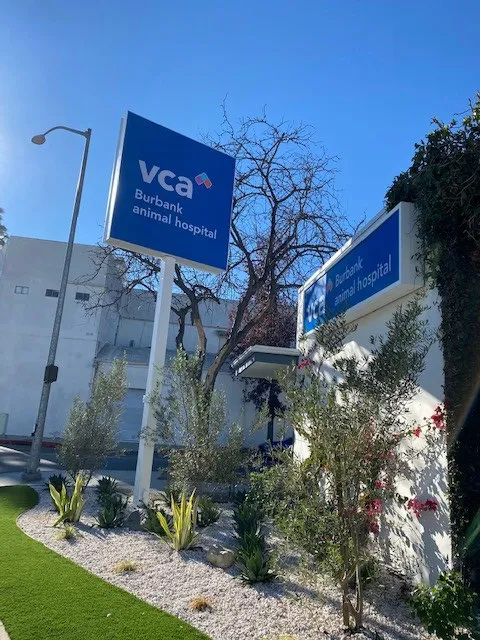 VCA Burbank Animal Hospital Picture 7