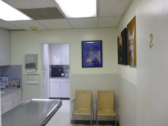 VCA Burbank Animal Hospital Picture 10