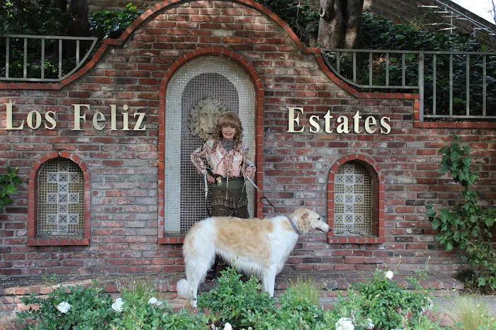 Angelus Pet Hospital Picture 2