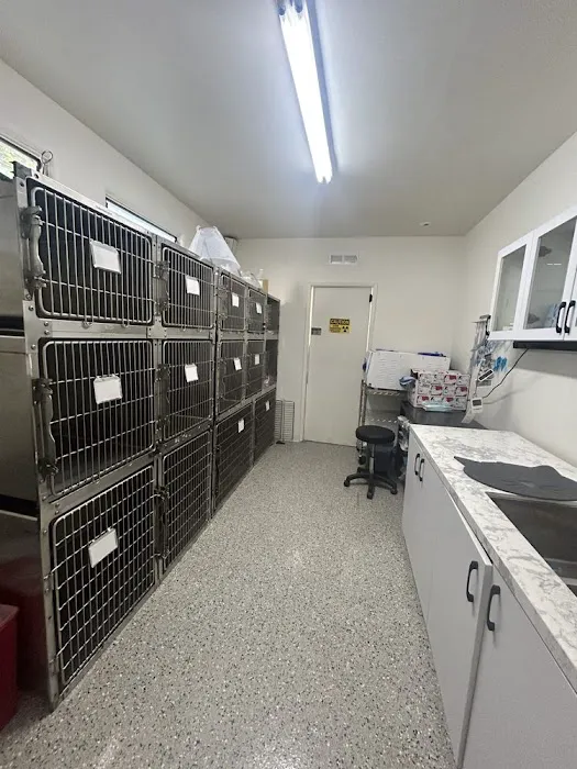 Angelus Pet Hospital Picture 4
