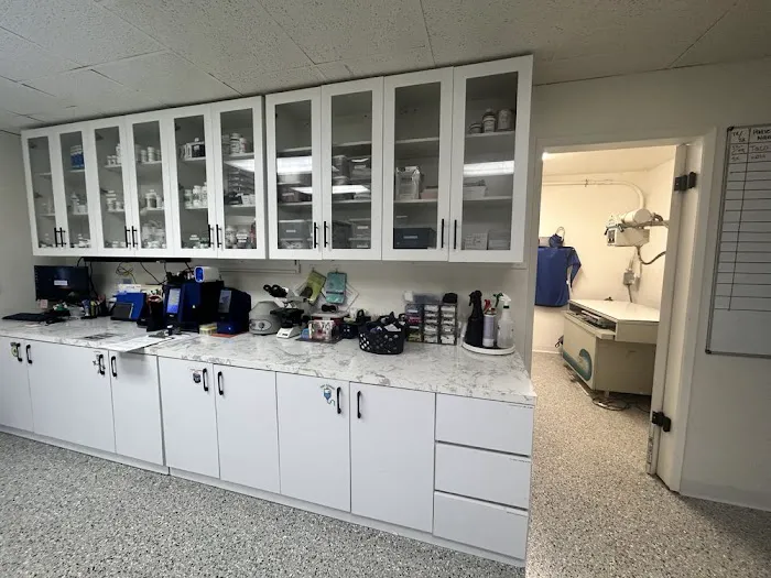 Angelus Pet Hospital Picture 6