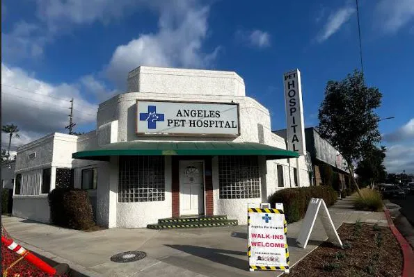 Angelus Pet Hospital Picture 8