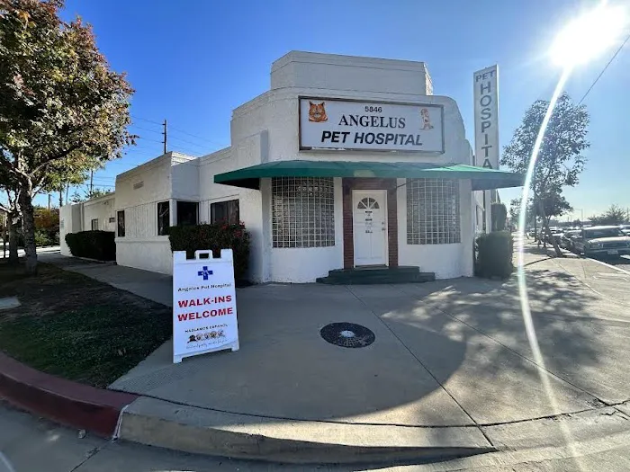 Angelus Pet Hospital Picture 5