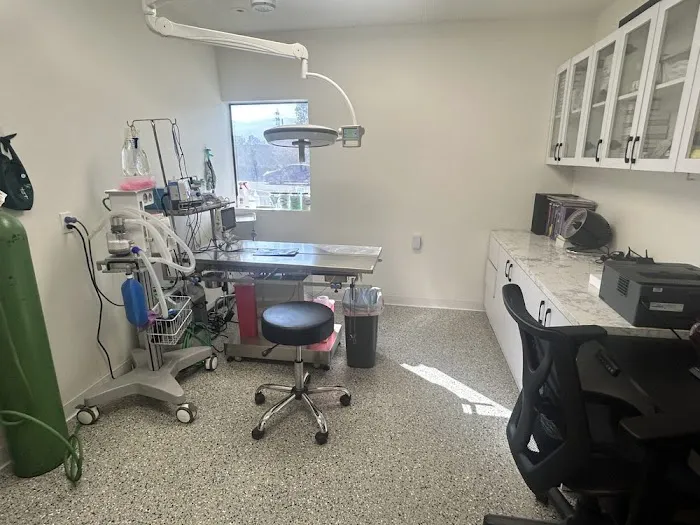 Angelus Pet Hospital Picture 10