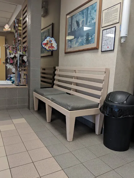 VCA Arden Animal Hospital Picture 4