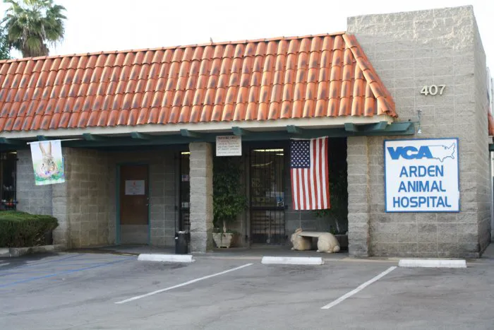 VCA Arden Animal Hospital Picture 10