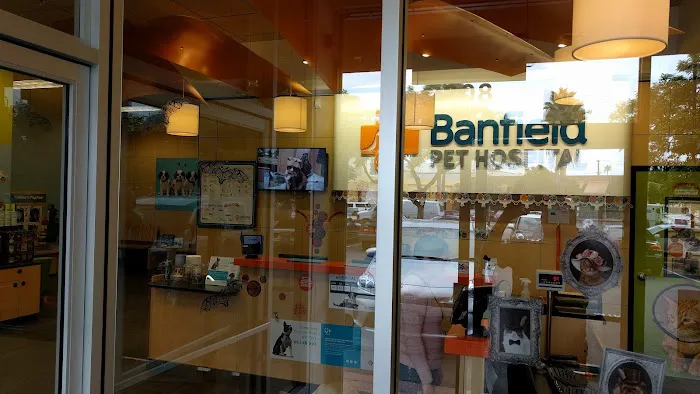 Banfield Pet Hospital Picture 3