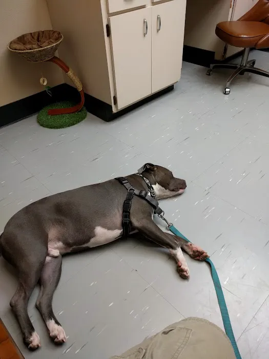 Animal Health Care Center Picture 8