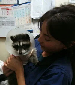 Animal Health Care Center Picture 6