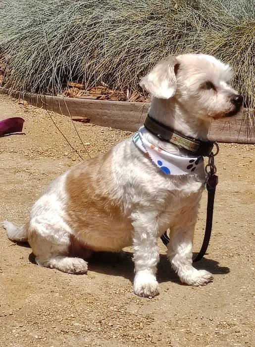 Glendale Small Animal Hospital Picture 2