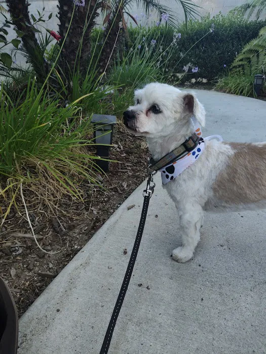 Glendale Small Animal Hospital Picture 3