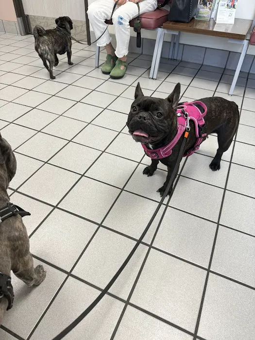 Glendale Small Animal Hospital Picture 8