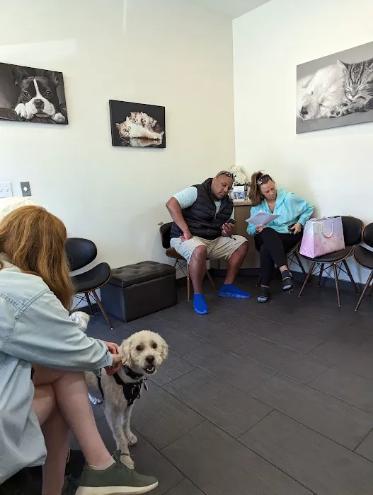 Beverly Robertson Veterinary Clinic Picture 3