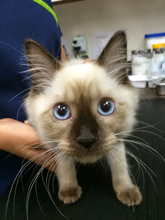 Beverly Robertson Veterinary Clinic Picture 2