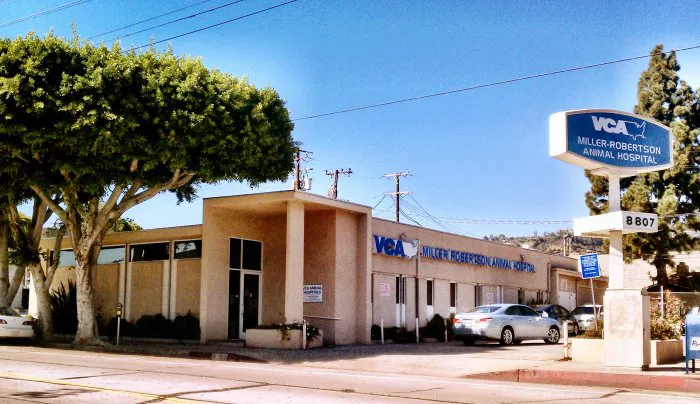 VCA Miller-Robertson Animal Hospital Picture 6