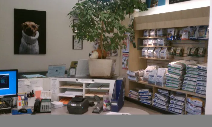 VCA Miller-Robertson Animal Hospital Picture 5