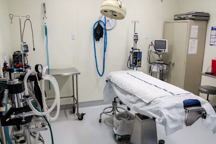 VCA Miller-Robertson Animal Hospital Picture 4