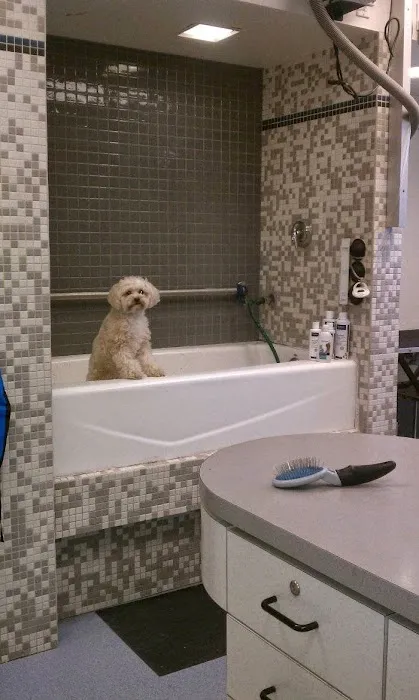 VCA Miller-Robertson Animal Hospital Picture 1
