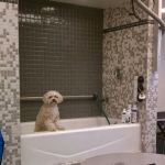 VCA Miller-Robertson Animal Hospital