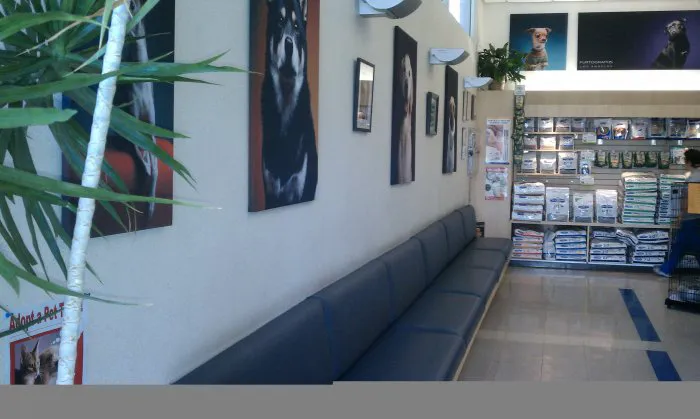 VCA Miller-Robertson Animal Hospital Picture 2