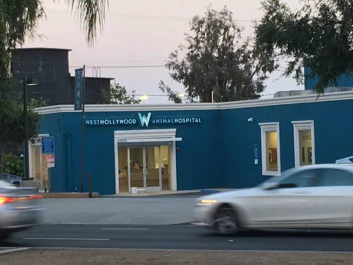 West Hollywood Animal Hospital Picture 2
