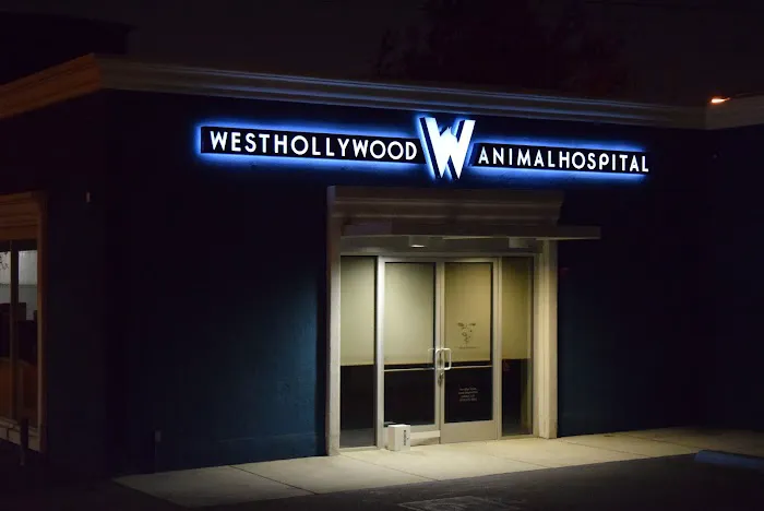 West Hollywood Animal Hospital Picture 6