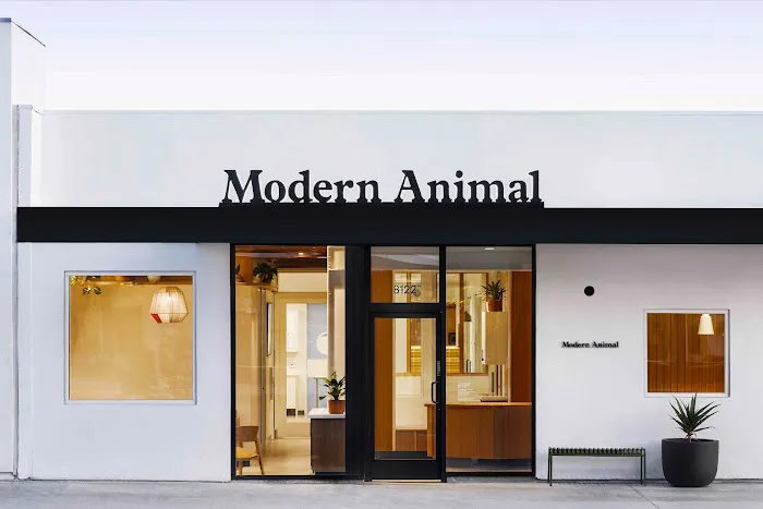 Modern Animal Picture 7