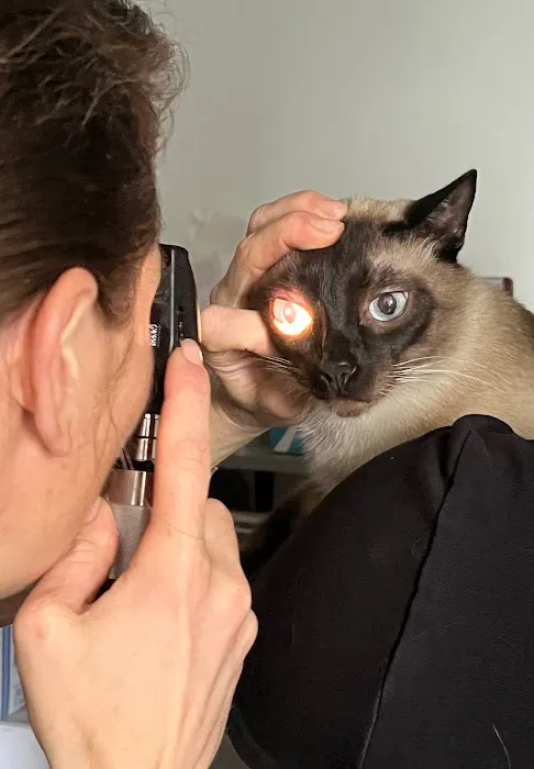 Aristide, Mobile Veterinarian Picture 1