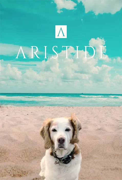 Aristide, Mobile Veterinarian Picture 6