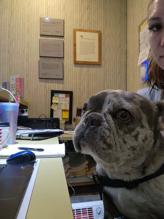 Culver City Animal Hospital Picture 2