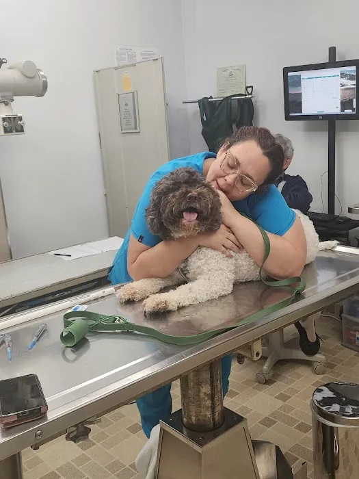 Culver City Animal Hospital Picture 1
