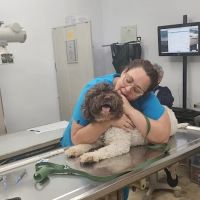 Culver City Animal Hospital ico