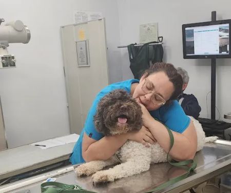 Culver City Animal Hospital